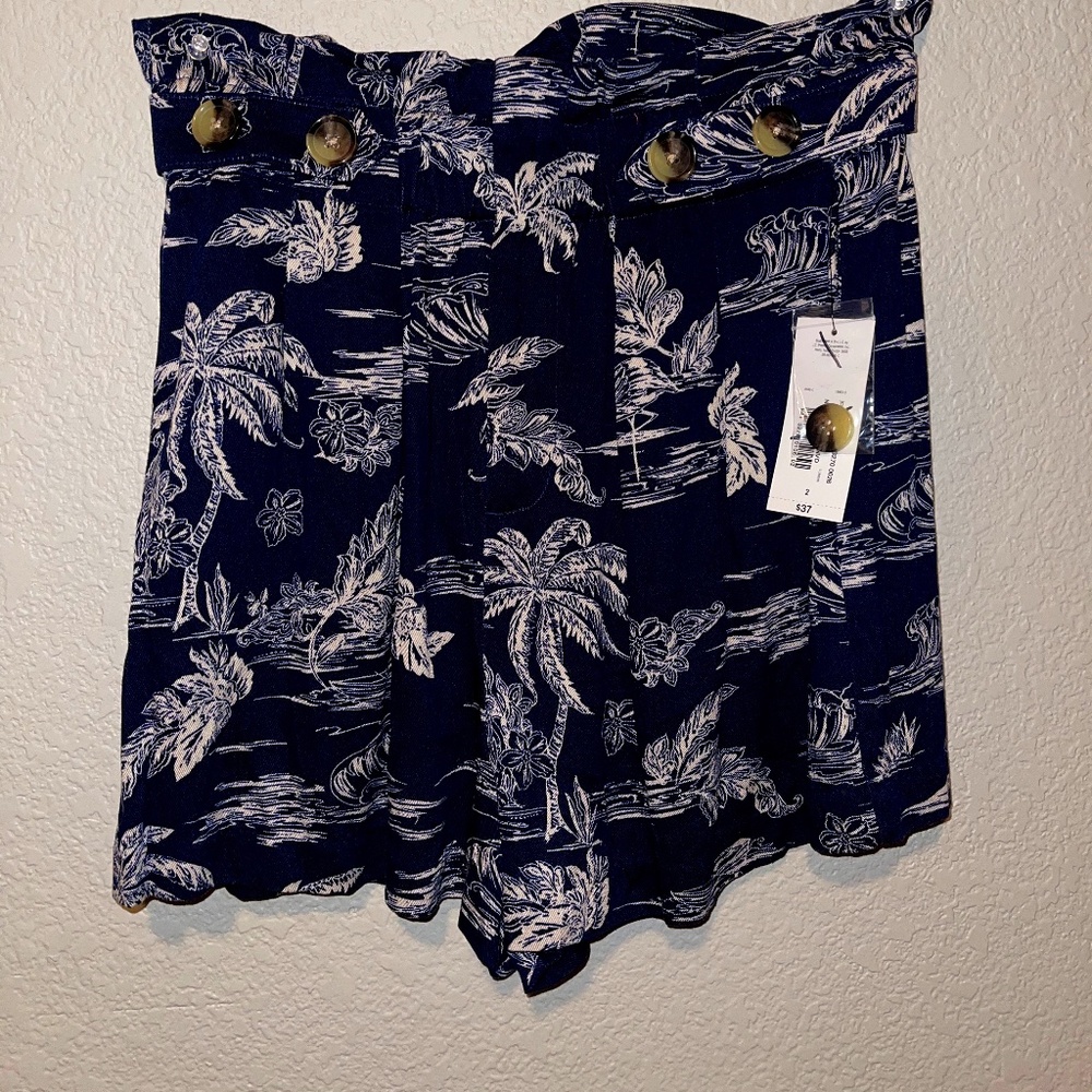 a.n.a shorts